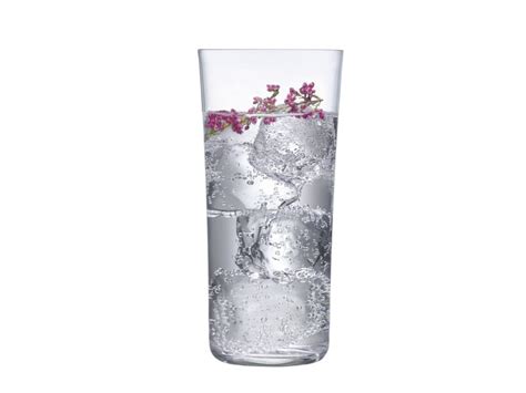 Savage Highball Cocktail Glass By Nude