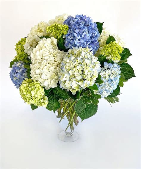 Charlotte NC Best Selling Flowers - Same Day Delivery | The Blossom Shop