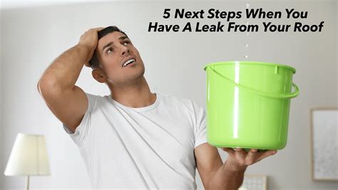 5 Next Steps When You Have A Leak From Your Roof The Pinnacle List