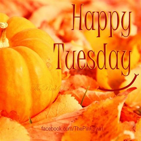 Happy Tuesday Good Morning Tuesday Tuesday Greetings Happy Tuesday