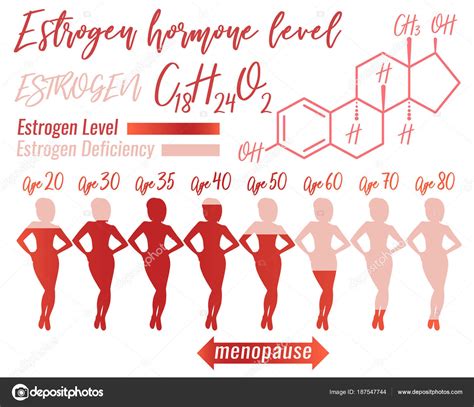 Estrogen Woman Infographic Stock Vector Image By ©annyart 187547744