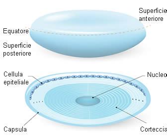 Cataratta Sintomi Quali Sono Come Inizia Quando Preoccuparsi E Rischi