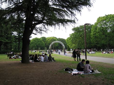 Sunday In Yoyogi Park Yoyogi Park Tokyo Japan Park