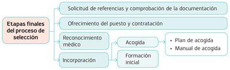 Etapas Finales Del Proceso De Selecci N