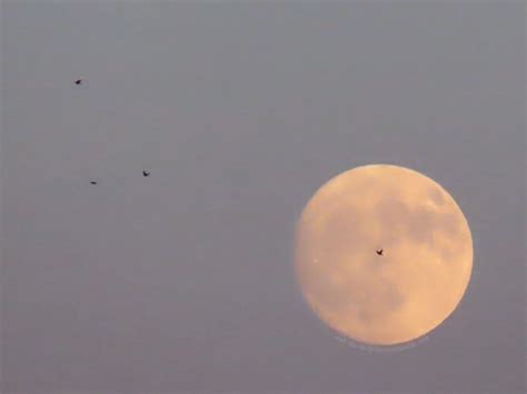 Amateur Photography On Tumblr