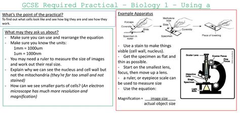 Gcse Required Practical Biology 1 Using A Light Microscope Ppt