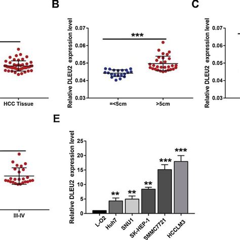 Knockdown Of Dleu Inhibited Edu Positive Hcc Cells Edu Assay Showed