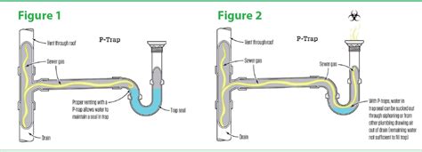 Should You Periodically Use Spare Bathrooms R Homeowners