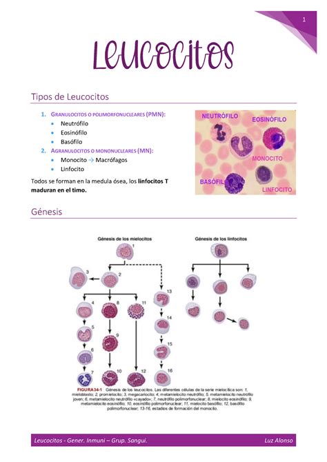 4 Leuc Gen Inmuno Gru Sangui Luli Tipos De Leucocitos 1