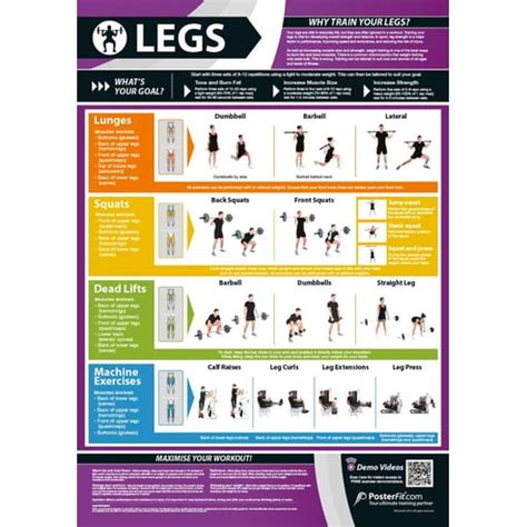 Legs Exercise Poster Innovative Gym Fitness Charts