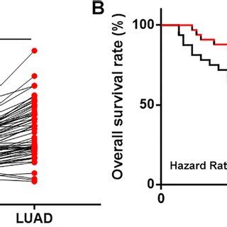 Upregulation Of PSMG3 AS1 In LUAD Predicted Poor Survival Expression