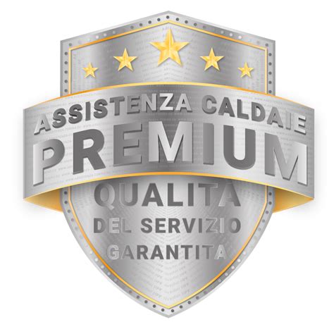 Assistenza Caldaie E Condizionatori Torino Pronto Comfort S R L