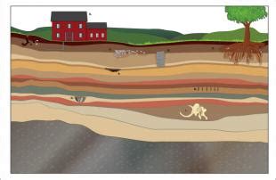 Stratigraphy Archaeology