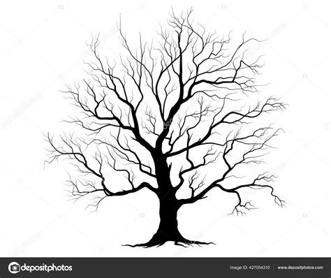 Black Branch Tree Naked Trees Silhouettes Hand Drawn Isolated