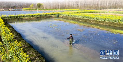 乡味安徽合肥：小龙虾跃出农门闯世界 新华网客户端