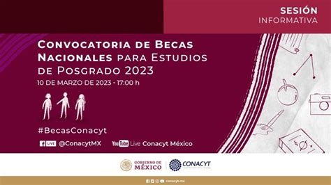 C Mo Acceder Al Portal De Conacyt En L Nea