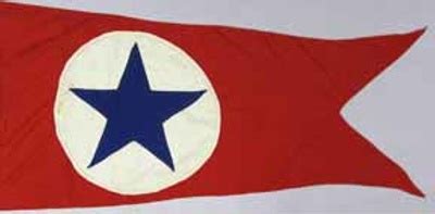 Flag, House, Blue Star Line; 2009.5277.4 - Wellington Museum on NZMuseums