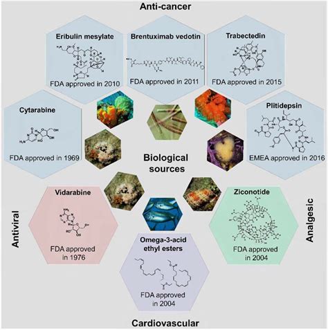 Marine Drugs Free Full Text Computational Methodologies In The