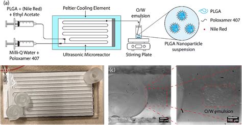 Microfluidic Synthesis Of Plga Nanoparticles Enabled By An Ultrasonic