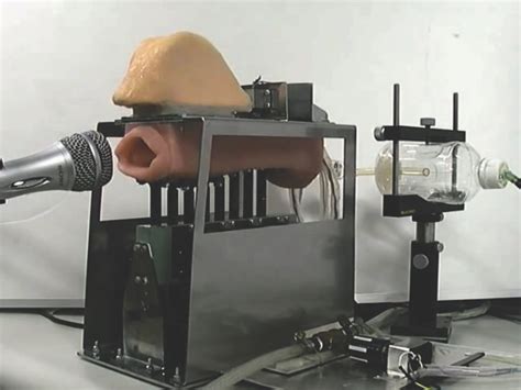 Станок для ебли (47 фото) - фото - картинки и рисунки: скачать бесплатно