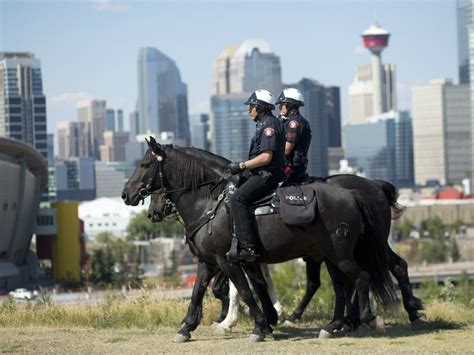 Back In The Saddle With The Calgary Police Mounted Unit Calgary Herald