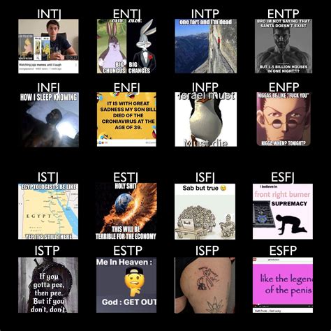 Mbti Body Types