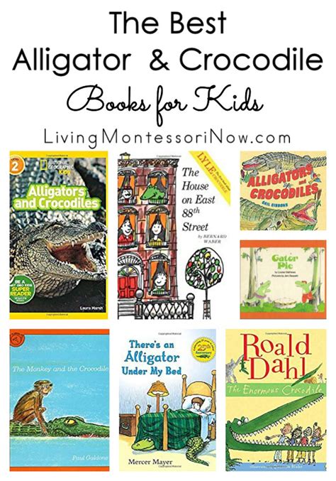 The Best Alligator and Crocodile Books for Kids - Living Montessori Now