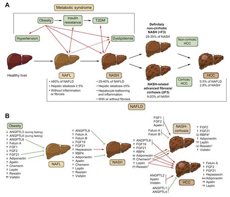 Hepatokines And Adipokines In Nash Related Hepatocellular Carcinoma