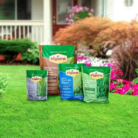 Tall Fescue Grass Seed The Ultimate Guide For Growing A Lush And