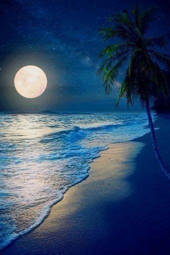 A Full Moon Over The Ocean And Beach With Palm Trees