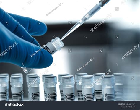 3,183 Dna Testing Service Images, Stock Photos & Vectors | Shutterstock