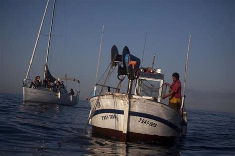 UE La UE e islas Cook prorrogan tres años el acuerdo que dará acceso