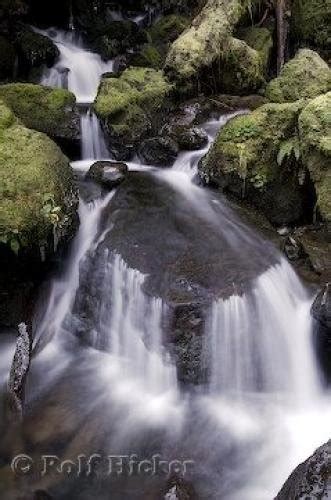 Waterfalls Olympic Peninsula | Photo, Information