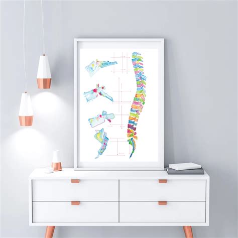 Spine Anatomy Abstract Art Print Chiropractic Office Wall Art Office