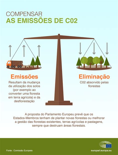 Alterações Climáticas Usar As Florestas Para Compensar As Emissões De Carbono Atualidade