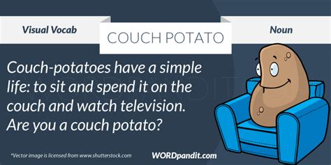 Meaning Of Couch Potato