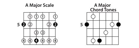 8 Tips For How To Use Guitar Scales Guitar Lesson