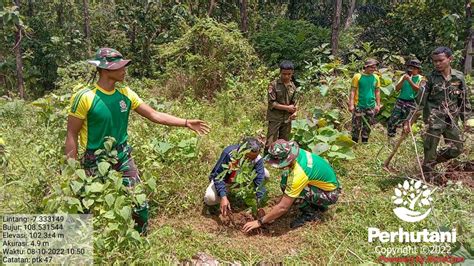 Perhutani Peringati HUT TNI KE 77 Perhutani Bersama Batalyon