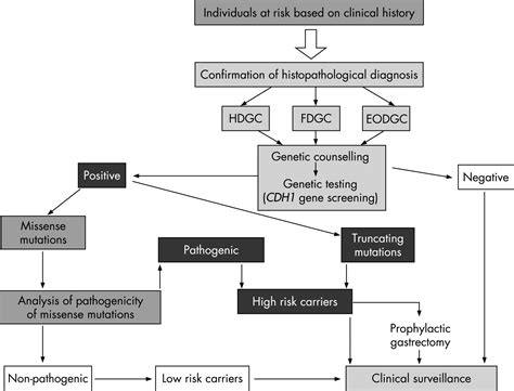 Molecular Pathology Of Familial Gastric Cancer With An Emphasis On