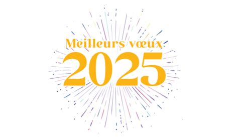 Meilleurs Vœux 2025 IMT Nord Europe