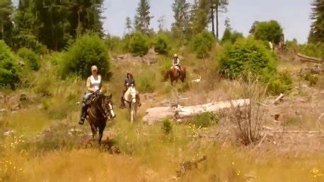 Horseback Trail Riding Tips