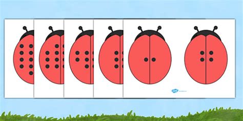 Double The Ladybird Spots Visual Aid (teacher made) - Twinkl