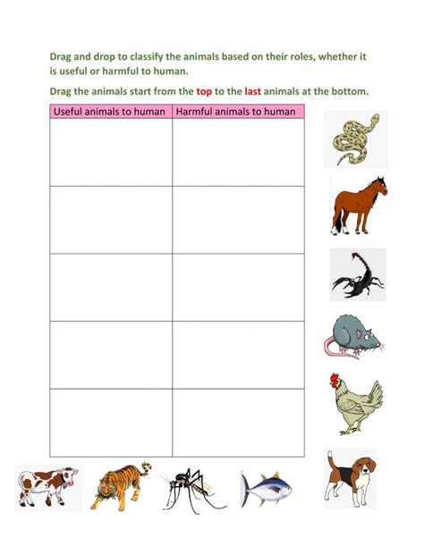 Classify useful and harmful animals worksheet in 2023 | Animal classification worksheet, Animal ...