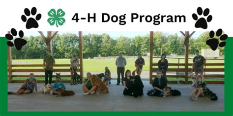 Cornell Cooperative Extension 2021 4 H Dog Program