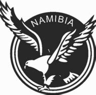 Namibia national football team - Wikipedia