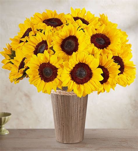 Sunflower Bouquet | 1800Flowers.com