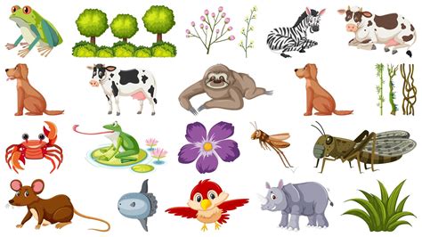 Animals and plants are composed of - stellargolf