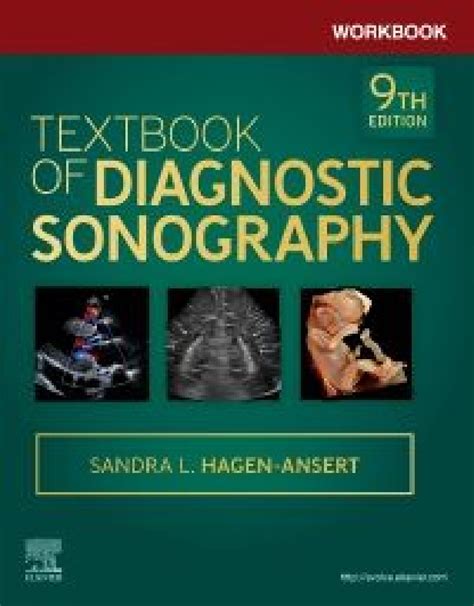 Workbook For Textbook Of Diagnostic Sonography 9th Ed Sandra Hagen