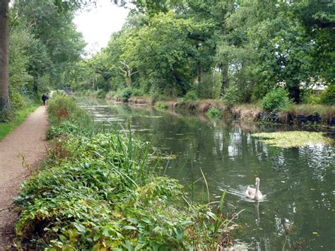 Basingstoke Canal Robin Webster Geograph Britain And Ireland