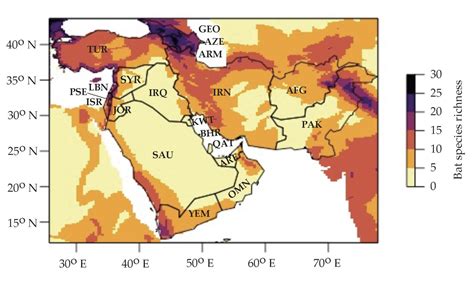 Bat Species by Region – Wabnet